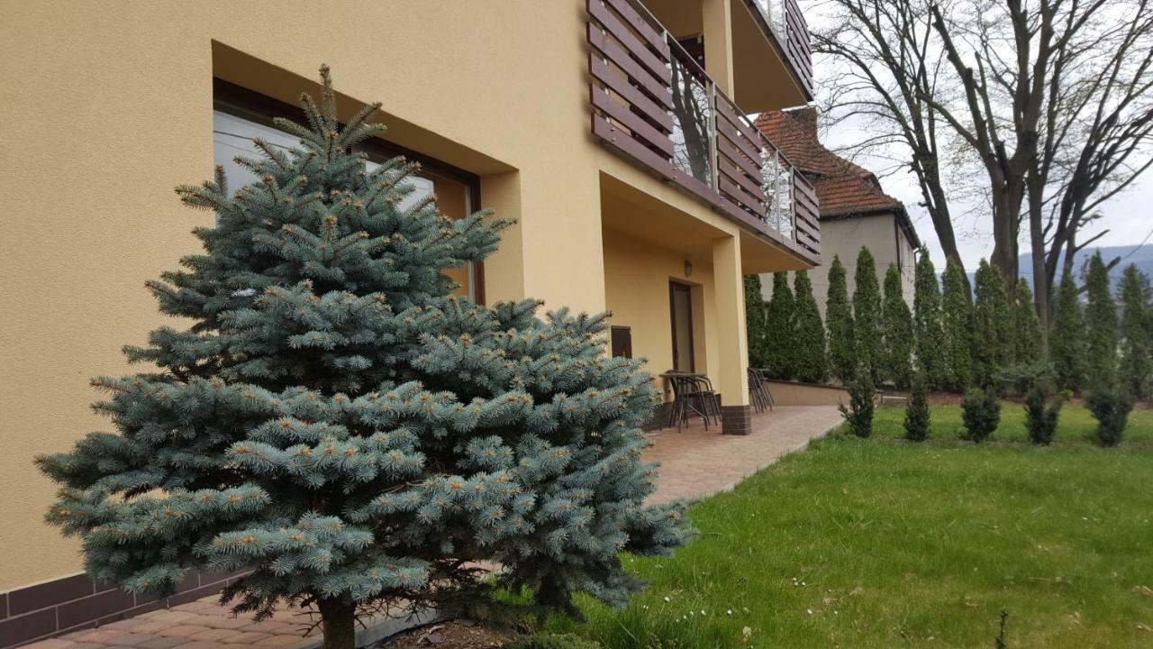 Apartament Z Widokiem-Blizej Zdroju Polanica-Zdroj Ngoại thất bức ảnh